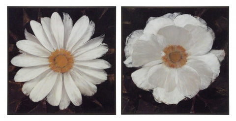 Zestaw dwóch obrazów - Białe kwiaty - reprodukcje na płytach AB1413, AB1414 51x51 cm - Obrazy Reprodukcje Ramy | ergopaul.pl