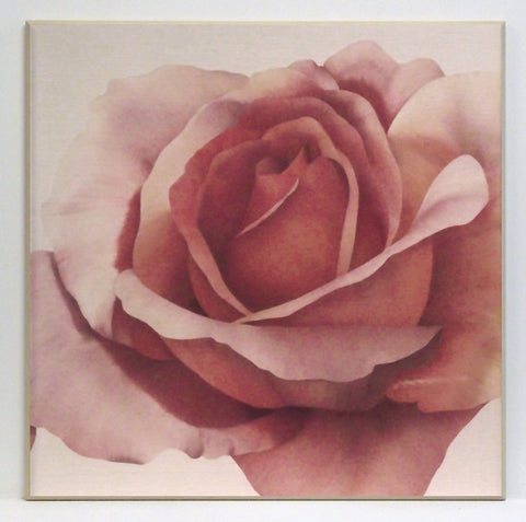 Obraz - Kwiat herbacianej róży - reprodukcja na płycie AP308 71x71 cm - Obrazy Reprodukcje Ramy | ergopaul.pl