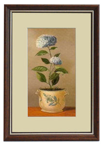 Obraz - Kwiaty w porcelanowych doniczkach, Hortensja 2 - reprodukcja D0785 w ramie 20x32 cm. - Obrazy Reprodukcje Ramy | ergopaul.pl