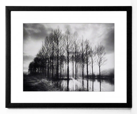 Obraz - Pejzaż, Normandia, drzewa, czarno-biała fotografia - reprodukcja z pass-partout w ramie W03830 53x43 cm - Obrazy Reprodukcje Ramy | ergopaul.pl