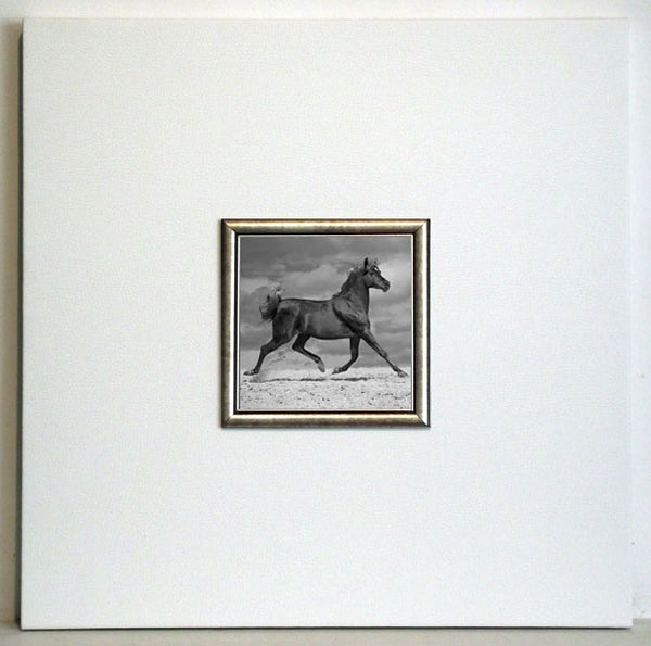 Obraz - Koń biegnący po plaży - reprodukcja w ramie IGP5285 50x50 cm - Obrazy Reprodukcje Ramy | ergopaul.pl