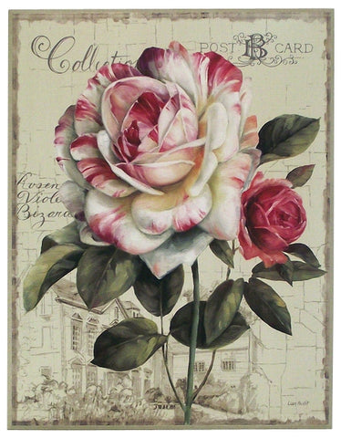 Obraz - Ogrodowe kwiaty, róża na szkicach architektury - reprodukcja WI10378 na płycie 56x71 cm. - Obrazy Reprodukcje Ramy | ergopaul.pl