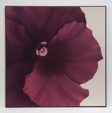 Obraz - Kwiat fioletowego cyklamenu - reprodukcja na płycie AP313 71x71 cm - Obrazy Reprodukcje Ramy | ergopaul.pl