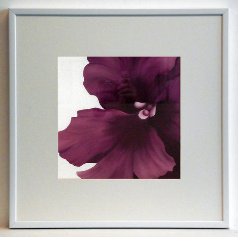 Obraz - Kwiat fioletowego cyklamenu - reprodukcja w ramie AD354 50x50 cm - Obrazy Reprodukcje Ramy | ergopaul.pl