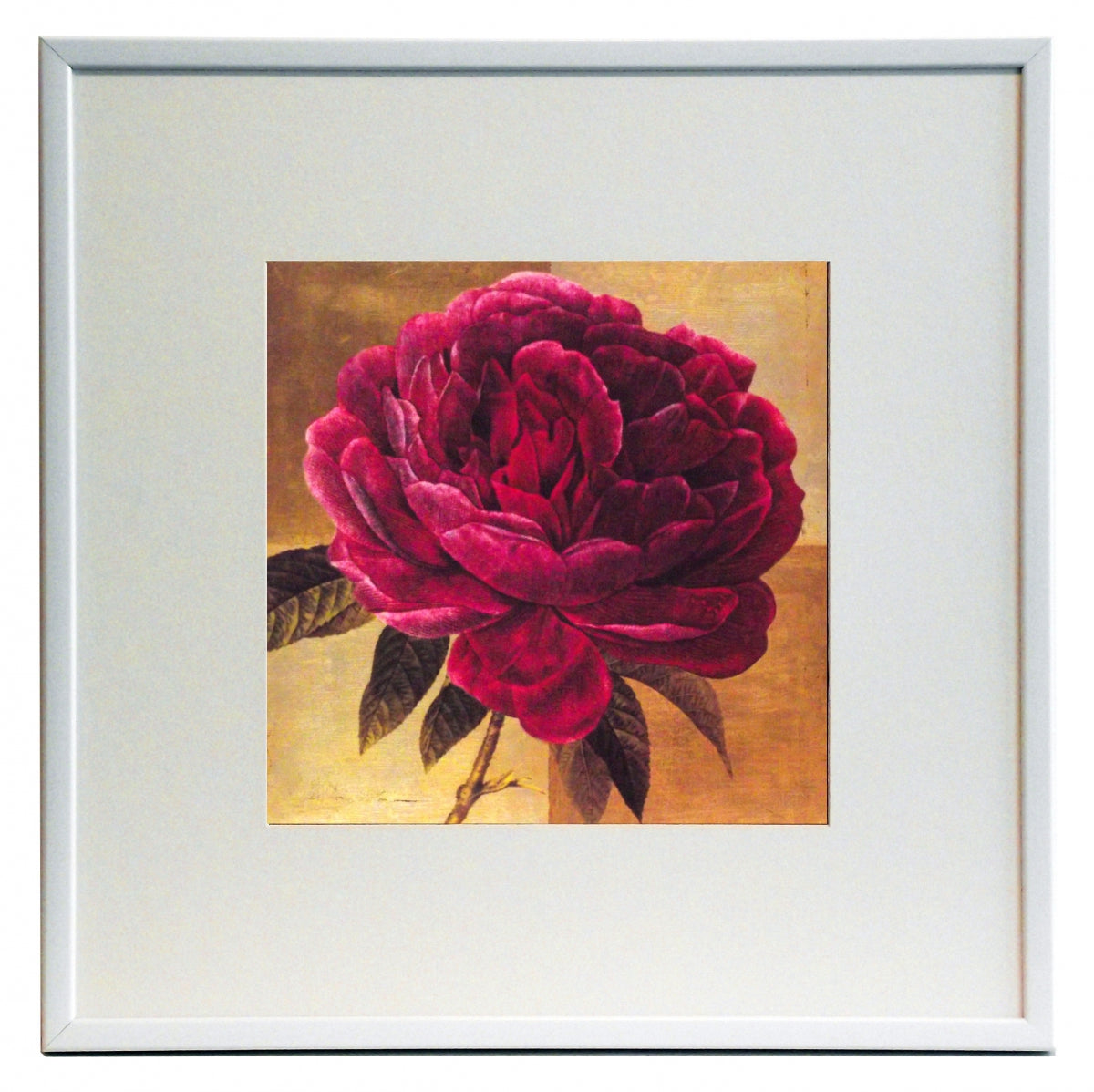 Obraz - Kwiat różowej peonii - reprodukcja w ramie A3784EX 50x50 cm - Obrazy Reprodukcje Ramy | ergopaul.pl