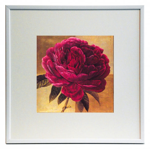 Obraz - Kwiat różowej peonii - reprodukcja w ramie A3784EX 50x50 cm - Obrazy Reprodukcje Ramy | ergopaul.pl