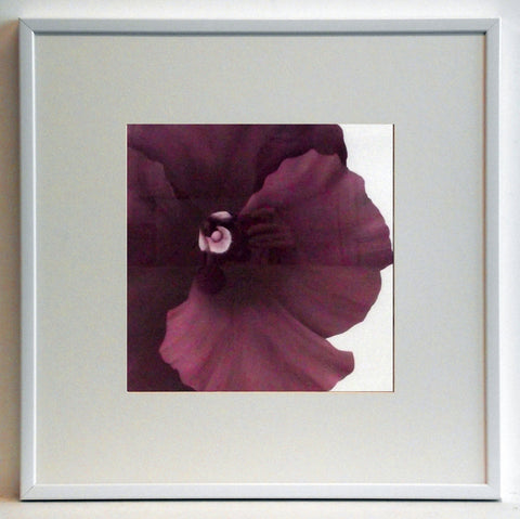 Obraz - Kwiat fioletowego cyklamenu - reprodukcja w ramie AD355 50x50 cm - Obrazy Reprodukcje Ramy | ergopaul.pl