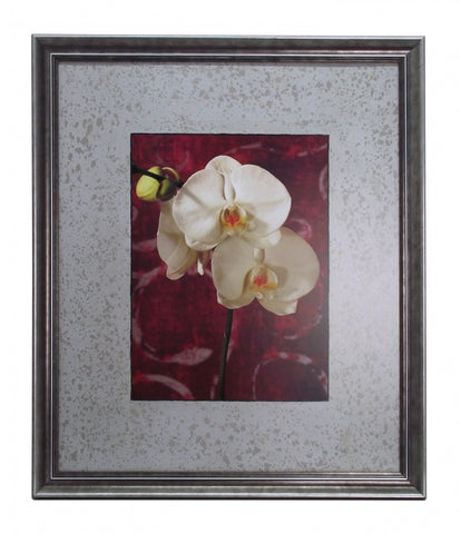 Obraz - Kwiaty Orchidei na srebrzystym tle - reprodukcja IS4005 oprawiona w ramę 50x60 cm. - Obrazy Reprodukcje Ramy | ergopaul.pl