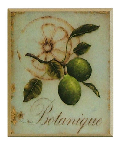 Obraz - Motywy botaniczne, limonki - reprodukcja A6073 na płycie 26x31 cm. - Obrazy Reprodukcje Ramy | ergopaul.pl