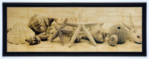 Obraz - Muszle, morskie skarby II, fotografia w sepii - reprodukcja IS5282 oprawiona w ramę 90x30 cm - Obrazy Reprodukcje Ramy | ergopaul.pl