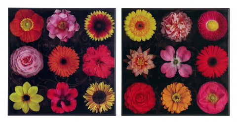Zestaw dwóch obrazów - Kolekcje kolorowych kwiatków - reprodukcje na płytach A9998, A9999 51x51 cm - Obrazy Reprodukcje Ramy | ergopaul.pl