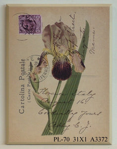 Obraz - Kwiaty na pocztówce, irys - reprodukcja na płycie A3372 31x41 cm. - Obrazy Reprodukcje Ramy | ergopaul.pl