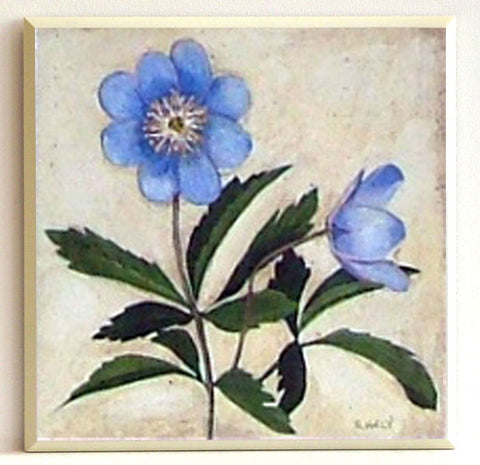 Obraz - Niebieskie kwiaty-Zawilec - reprodukcja na płycie D1257 19x19 cm. - Obrazy Reprodukcje Ramy | ergopaul.pl