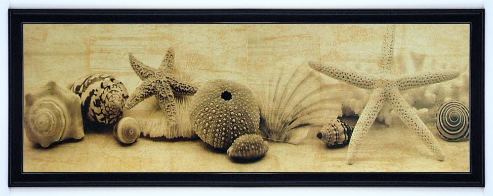 Obraz - Muszle, morskie skarby I, fotografia w sepii - reprodukcja IS5281 oprawiona w ramę 90x30 cm - Obrazy Reprodukcje Ramy | ergopaul.pl