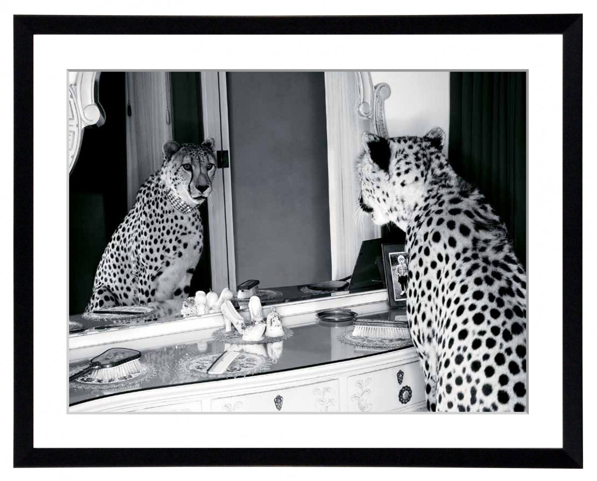 Obraz - Gepard w mieście, przeglądający się w lustrze, czarno-biała fotografia - reprodukcja 3AP2748-70 oprawiona w ramę 80x60 cm. - Obrazy Reprodukcje Ramy | ergopaul.pl