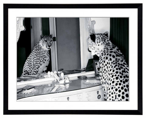 Obraz - Gepard w mieście, przeglądający się w lustrze, czarno-biała fotografia - reprodukcja 3AP2748-70 oprawiona w ramę 80x60 cm. - Obrazy Reprodukcje Ramy | ergopaul.pl
