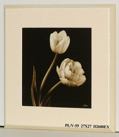 Obraz - Kwiaty na czarnym tle - reprodukcja na płycie D2600EX 27x27 cm - Obrazy Reprodukcje Ramy | ergopaul.pl