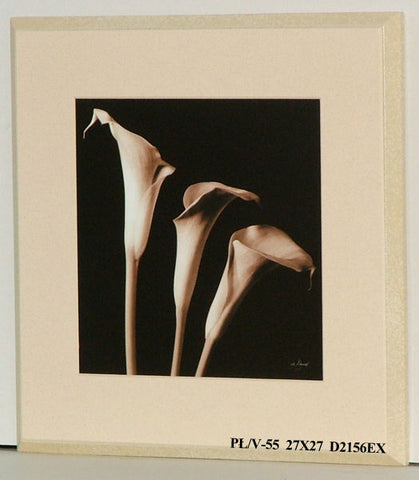 Obraz - Kwiaty na czarnym tle - reprodukcja na płycie D2156EX 27x27 cm - Obrazy Reprodukcje Ramy | ergopaul.pl