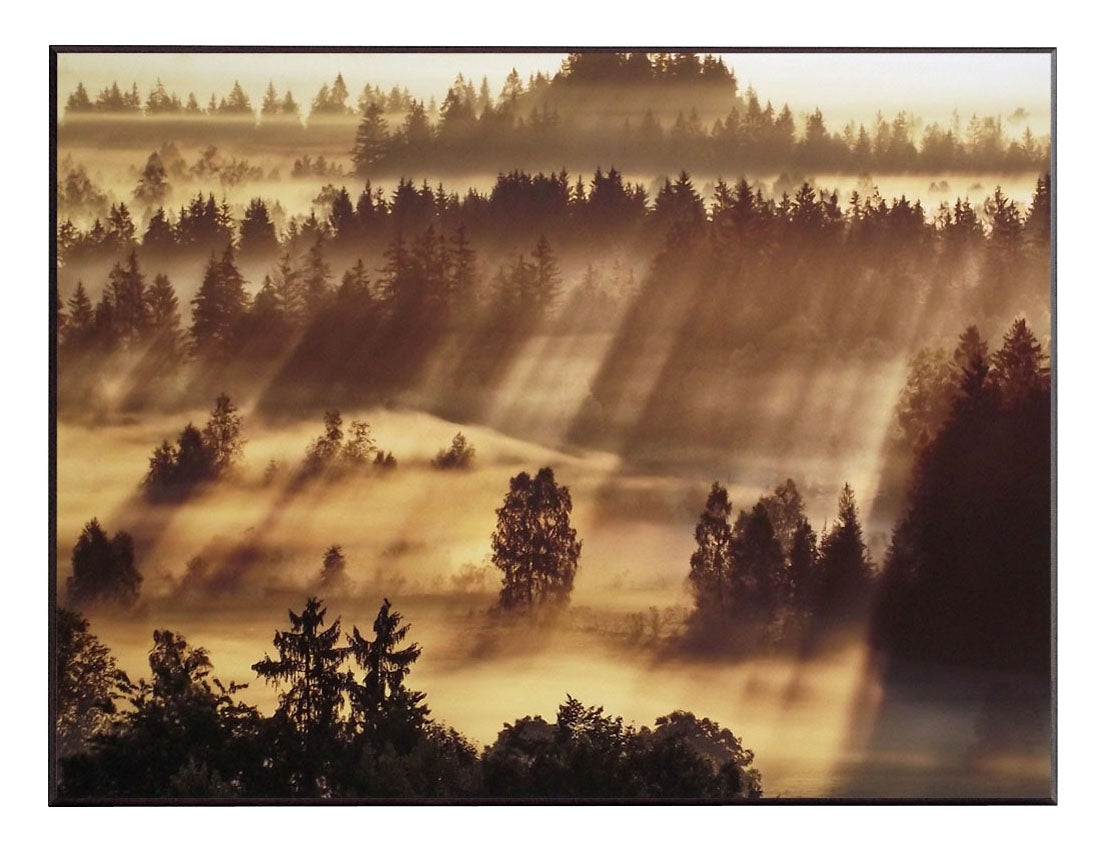 Obraz - Pejzaż - Mgła nad Bawarią, kolorowa fotografia - reprodukcja 3FK3181 na płycie  71x51 cm - Obrazy Reprodukcje Ramy | ergopaul.pl