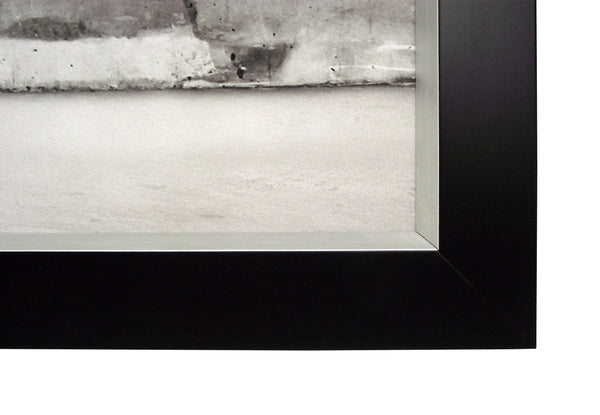 Obraz - Czarny łabędź - reprodukcja w ramie drewnianej 2AP4324 M-8/1 100x50 cm