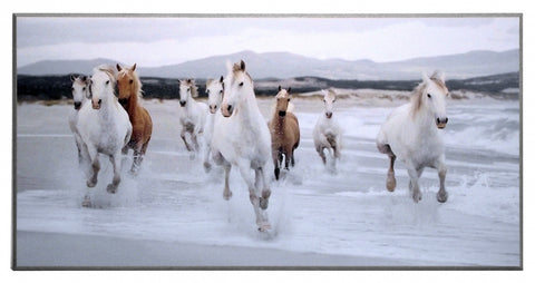 Obraz - Konie biegnące brzegiem morza, fotografia - reprodukcja na płycie 2AP981 101x51. - Obrazy Reprodukcje Ramy | ergopaul.pl