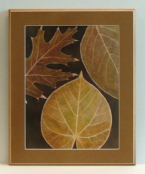 Obraz - Zasuszone liście drzew - reprodukcja na płycie z passepartout A1980 43x55 cm. - Obrazy Reprodukcje Ramy | ergopaul.pl