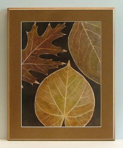 Obraz - Zasuszone liście drzew - reprodukcja na płycie z passepartout A1980 43x55 cm. - Obrazy Reprodukcje Ramy | ergopaul.pl