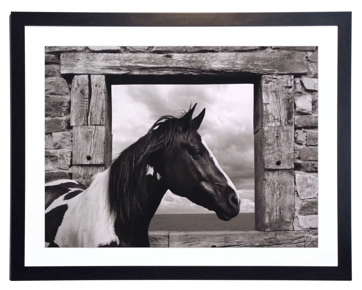 Obraz - Country koń - reprodukcja fotografii 3AP4333 w ramie 80x60 cm - Obrazy Reprodukcje Ramy | ergopaul.pl