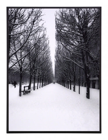Obraz - Paryż, Park Tuileries, pejzaż zimowy, czarno-biała fotografia - reprodukcja 3MS3287-40 na płycie 31x41 cm - Obrazy Reprodukcje Ramy | ergopaul.pl