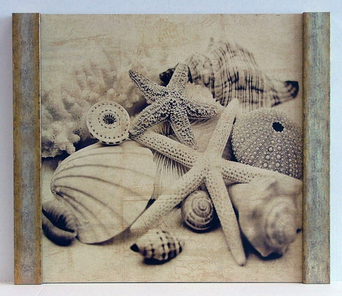Obraz - Kolekcja muszli II, fotografia w sepii - reprodukcja IS5204 na płycie oprawiona w pionowe ramy 50x50 cm. - Obrazy Reprodukcje Ramy | ergopaul.pl