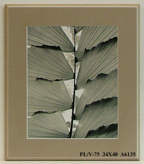 Obraz - Liść, kadr - reprodukcja na płycie A6135 34x40 cm - Obrazy Reprodukcje Ramy | ergopaul.pl