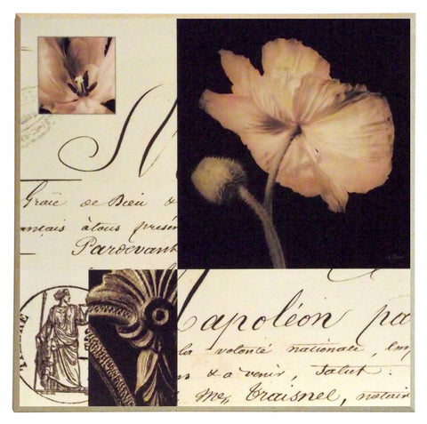 Obraz - Kompozycja z kwiatowych fotografii - reprodukcja na płycie A4443EX 51x51 cm. - Obrazy Reprodukcje Ramy | ergopaul.pl
