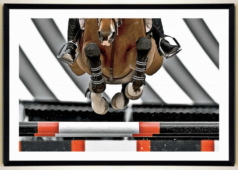 Obraz - Konie, skok przez przeszkodę, fotografia - reprodukcja WI9334 oprawiona w ramę 100x70 cm - Obrazy Reprodukcje Ramy | ergopaul.pl