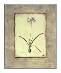 Obraz - Kwiaty cebulowe, Amarylis - reprodukcja A2295 na płycie 41x51 cm. - Obrazy Reprodukcje Ramy | ergopaul.pl