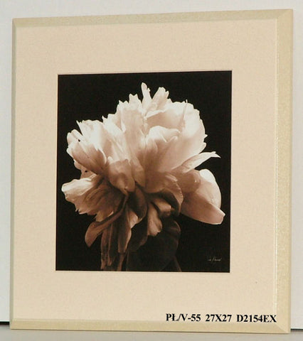 Obraz - Kwiaty na czarnym tle - reprodukcja na płycie D2154EX 27x27 cm - Obrazy Reprodukcje Ramy | ergopaul.pl