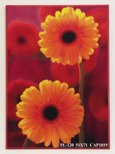 Obraz - Kwiaty w czerwieni, gerbery - reprodukcja na płycie CAP1019 51x71 cm - Obrazy Reprodukcje Ramy | ergopaul.pl