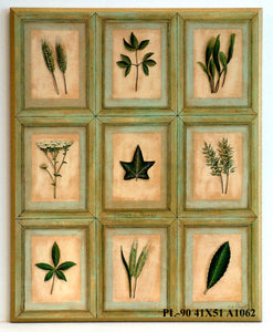 Obraz - Kolekcja botanika 3 - reprodukcja A1062 na płycie 41x51 cm. - Obrazy Reprodukcje Ramy | ergopaul.pl