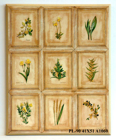Obraz - Kolekcja botanika 1 - reprodukcja A1060 na płycie 41x51 cm. - Obrazy Reprodukcje Ramy | ergopaul.pl