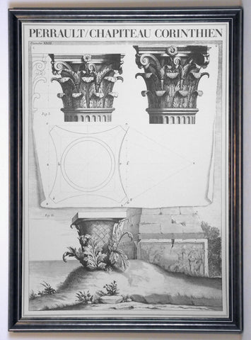 Obraz - Kolumna w porządku Korynckim - reprodukcja AP204 oprawiona w ramę 59x84 cm - Obrazy Reprodukcje Ramy | ergopaul.pl