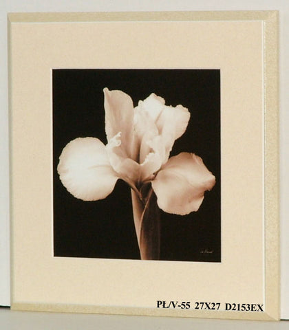 Obraz - Kwiaty na czarnym tle - reprodukcja na płycie D2153EX 27x27 cm - Obrazy Reprodukcje Ramy | ergopaul.pl