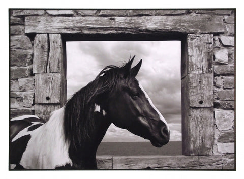 Obraz - Country koń - reprodukcja fotografii 3AP4333 na płycie 71x51 cm - Obrazy Reprodukcje Ramy | ergopaul.pl