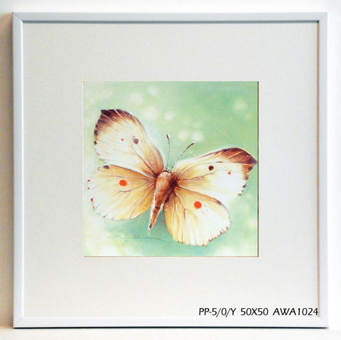 Obraz - Kolorowy motyl - reprodukcja w ramie AWA1024 50x50 cm - Obrazy Reprodukcje Ramy | ergopaul.pl