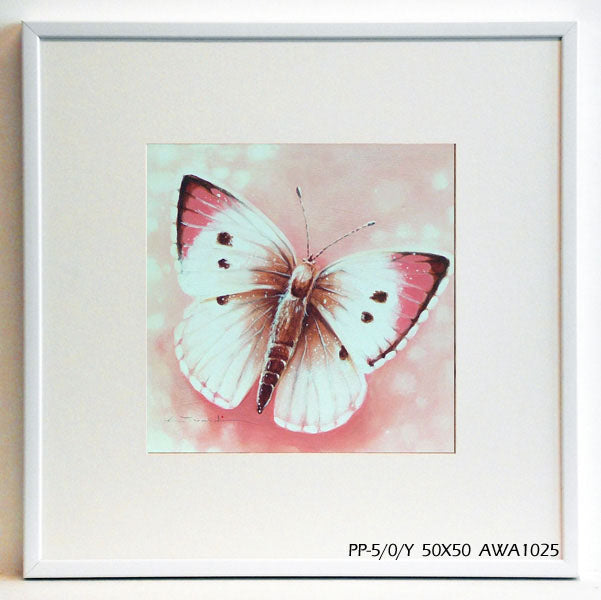Obraz - Kolorowy motyl - reprodukcja w ramie AWA1025 50x50 cm - Obrazy Reprodukcje Ramy | ergopaul.pl