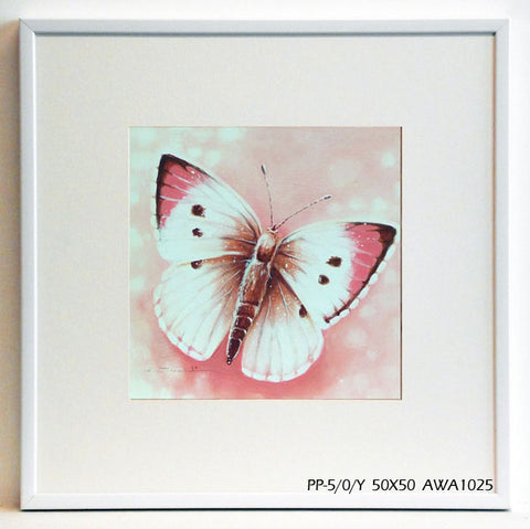 Obraz - Kolorowy motyl - reprodukcja w ramie AWA1025 50x50 cm - Obrazy Reprodukcje Ramy | ergopaul.pl