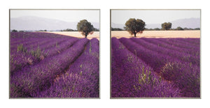 Zestaw dwóch obrazów - Lawendowy krajobraz - reprodukcje na płytach AB1119, AB1120 51x51 cm - Obrazy Reprodukcje Ramy | ergopaul.pl