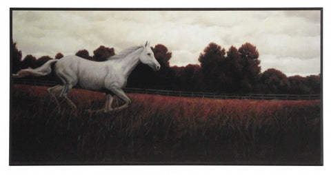 Obraz - Biały koń na pastwisku, cz. I - reprodukcja A8166 na płycie 81x41 cm. - Obrazy Reprodukcje Ramy | ergopaul.pl
