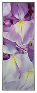 Obraz - Wisteria, fioletowe kwiaty - reprodukcja AL223 na płycie 36x101 cm. - Obrazy Reprodukcje Ramy | ergopaul.pl