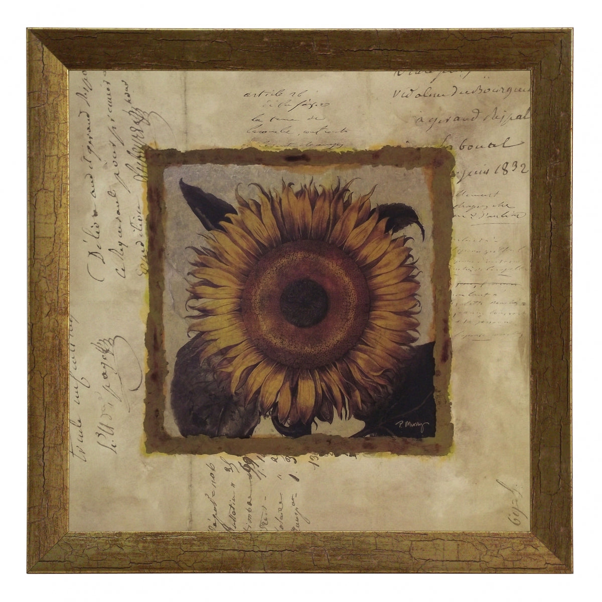Obraz - Złota kolekcja - kwiaty, słonecznik - reprodukcja A2560 w ramie 30x30 cm. - Obrazy Reprodukcje Ramy | ergopaul.pl