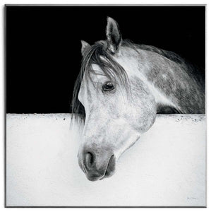 Obraz - Konie, czarno - biały portret, Decograph WI9471 71x71 cm. Ostatnia sztuka! - Obrazy Reprodukcje Ramy | ergopaul.pl