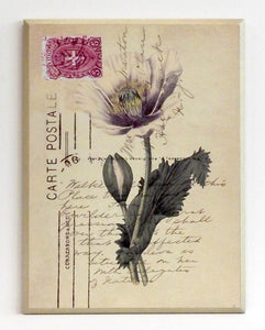 Obraz - Kwiaty na pocztówce, sasanka - reprodukcja na płycie A3369 31x41 cm. - Obrazy Reprodukcje Ramy | ergopaul.pl